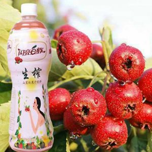閃亮e族山里紅果汁